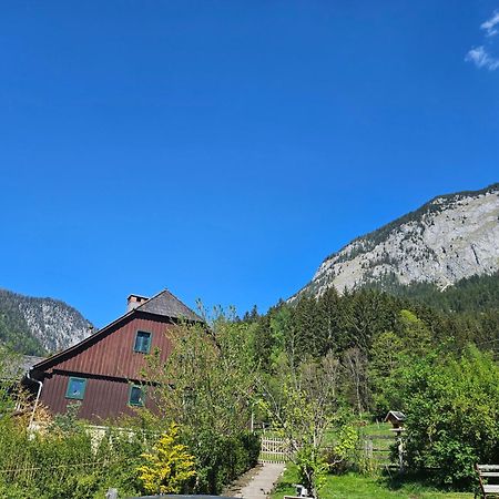 Premium Apartment Mit Privatem Whirlpool, Sauna, Garten Sankt Martin am Grimming Buitenkant foto