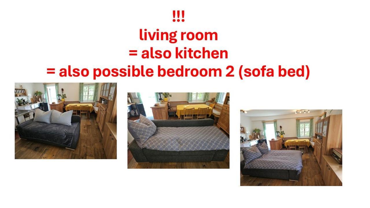 Premium Apartment Mit Privatem Whirlpool, Sauna, Garten Sankt Martin am Grimming Buitenkant foto