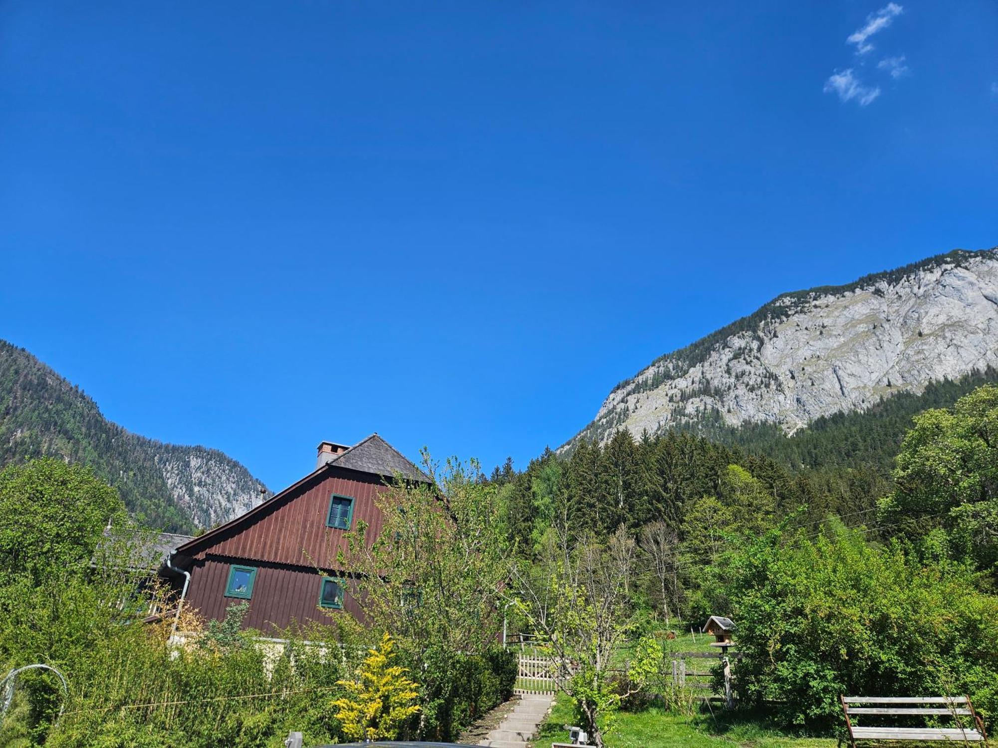 Premium Apartment Mit Privatem Whirlpool, Sauna, Garten Sankt Martin am Grimming Buitenkant foto