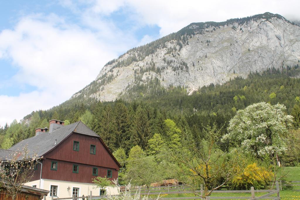 Premium Apartment Mit Privatem Whirlpool, Sauna, Garten Sankt Martin am Grimming Buitenkant foto